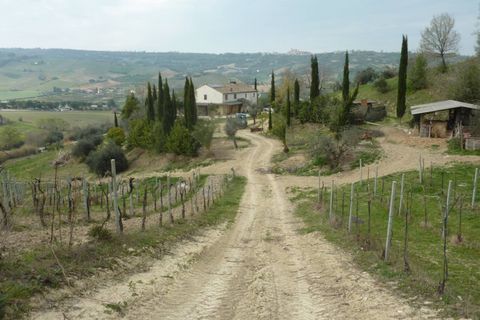 Helårsgrund i Ripatransone, Ascoli Piceno, Ripatransone - € 400.000 | Ref: Z1030 - foto 10