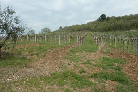 Helårsgrund i Ripatransone, Ascoli Piceno, Ripatransone - € 400.000 | Ref: Z1030 - foto 11