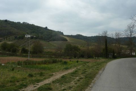 Helårsgrund i Ripatransone, Ascoli Piceno, Ripatransone - € 400.000 | Ref: Z1030 - foto 14