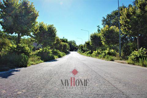 Villa a Massignano, Ascoli Piceno, Massignano - € 300.000 | Ref: VS096 - foto 9