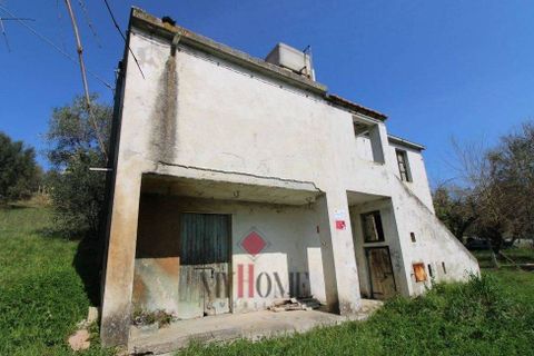 Herregård i Ripatransone, Ascoli Piceno, Ripatransone - € 99 000 | Ref: VS061 - foto 3