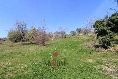 Herregård i Ripatransone, Ascoli Piceno, Ripatransone - € 99 000 | Ref: VS061 - foto 5