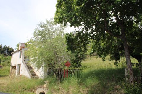 Herregård i Ripatransone, Ascoli Piceno, Ripatransone - € 99 000 | Ref: VS061 - foto 9