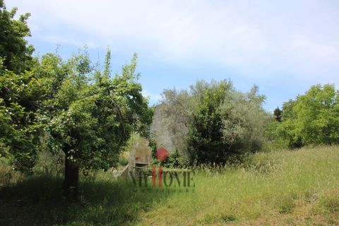 Herregård i Ripatransone, Ascoli Piceno, Ripatransone - € 99 000 | Ref: VS061 - foto 14