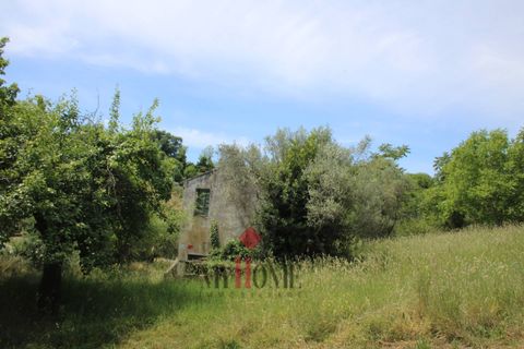 Herregård i Ripatransone, Ascoli Piceno, Ripatransone - € 99 000 | Ref: VS061 - foto 16