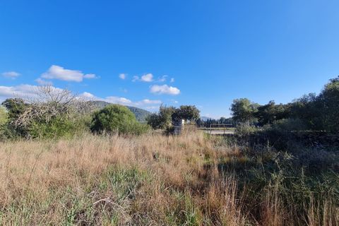 Terra a Sa Pobla, Mallorca, Sa Pobla - € 795.000 | Ref: 76384 - foto 4