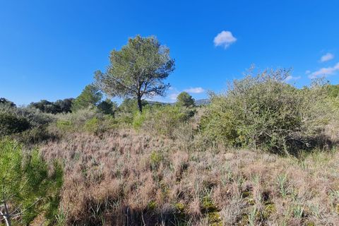 Terra a Sa Pobla, Mallorca, Sa Pobla - € 795.000 | Ref: 76384 - foto 5