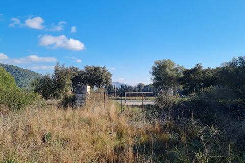 Terra a Sa Pobla, Mallorca, Sa Pobla - € 795.000 | Ref: 76384 - foto 6