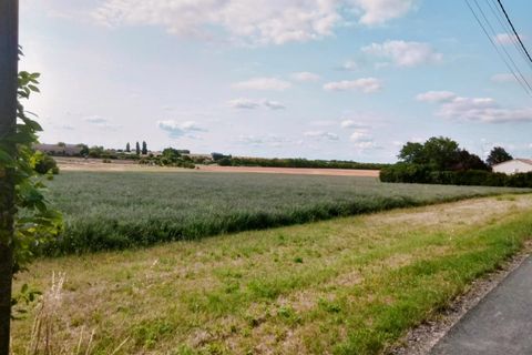 Terra a Champigny-le-Sec, Vienne, Champigny-le-Sec - € 33.500 | Ref: 8628R - foto 2