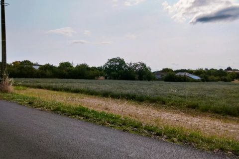 Terra a Champigny-le-Sec, Vienne, Champigny-le-Sec - € 33.500 | Ref: 8628R - foto 4