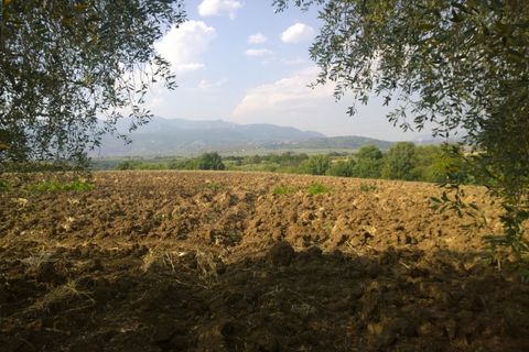Terra a Serre, Salerno, Serre - € 30.000 | Ref: 217 - foto 3