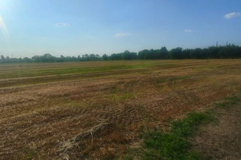 Terra a Rubano, Padua, Rubano - € 1.230.000 | Ref: RF1230 - foto 2