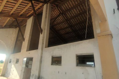 Terra a Rubano, Padua, Rubano - € 1.230.000 | Ref: RF1230 - foto 8