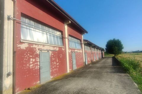 Terra a Rubano, Padua, Rubano - € 1.230.000 | Ref: RF1230 - foto 12