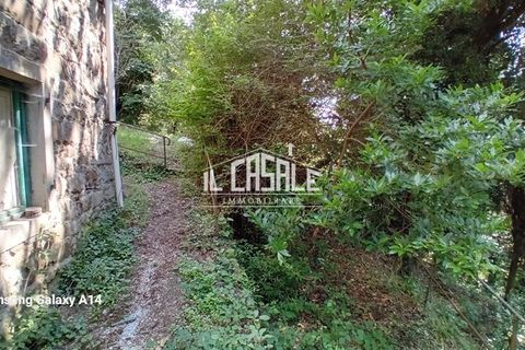 Villa i Pelago, Florence, Pelago - € 70.000 | Ref: 1882 - foto 17