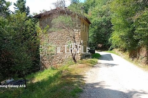 Villa i Pelago, Florence, Pelago - € 70.000 | Ref: 1882 - foto 19