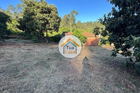 Byhus i Coimbra, Coimbra, Coimbra - € 57.500 | Ref: 4TC2585 - foto 33