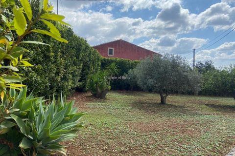 Villa i Modica, Ragusa, Modica - € 240.000 | Ref: MA 54 - foto 14