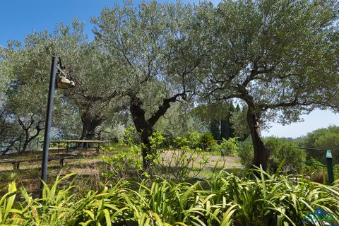 Villa a Varazze, Savona, Varazze - € 2.500.000 | Ref: 26173 - foto 4