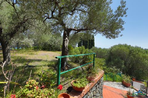 Villa a Varazze, Savona, Varazze - € 2.500.000 | Ref: 26173 - foto 5