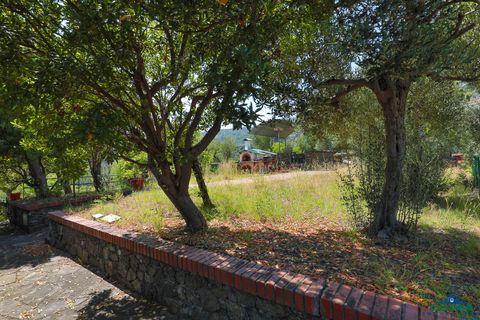 Villa a Varazze, Savona, Varazze - € 2.500.000 | Ref: 26173 - foto 16