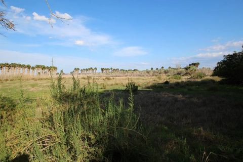 Landejendom i Elche, Alicante, Elche - € 49.900 | Ref: F45/3390 - foto 7