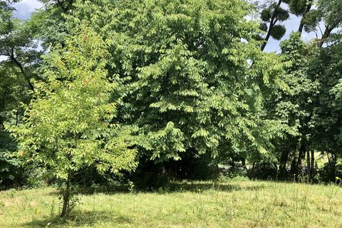 Villa i Adriers, Vienne, Adriers - € 88.000 | Ref: BVI70635 - foto 2