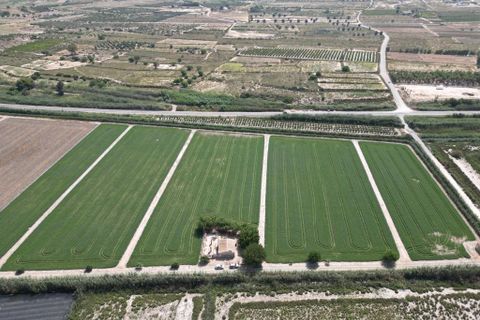 Landejendom i Elche, Alicante, Elche - € 149.000 | Ref: SP4288 - foto 5