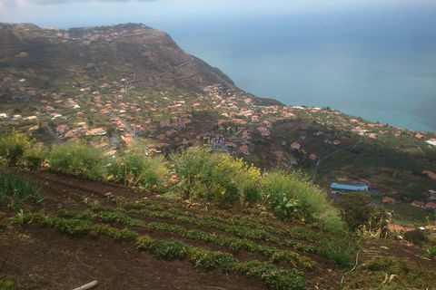 Byhus i Calheta, Madeira, Calheta - € 430.000 | Ref: etcnuno2 - foto 6