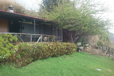 Byhus i Calheta, Madeira, Calheta - € 430.000 | Ref: etcnuno2 - foto 15