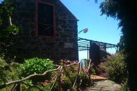 Byhus i Calheta, Madeira, Calheta - € 430.000 | Ref: etcnuno2 - foto 46