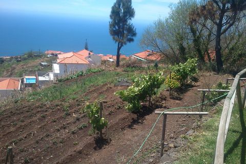Byhus i Calheta, Madeira, Calheta - € 430.000 | Ref: etcnuno2 - foto 41