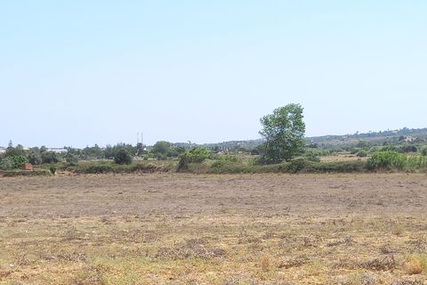 Farm i Budens, Faro, Budens - € 985.000 | Ref: 10314 - foto 7