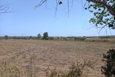 Farm i Budens, Faro, Budens - € 985.000 | Ref: 10314 - foto 9