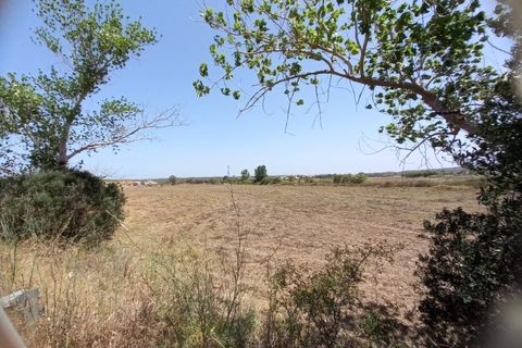 Farm i Budens, Faro, Budens - € 985.000 | Ref: 10314 - foto 10