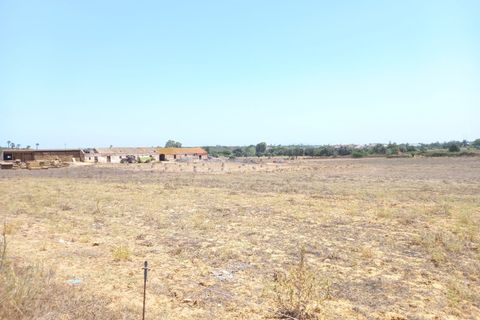 Farm i Budens, Faro, Budens - € 985.000 | Ref: 10314 - foto 31