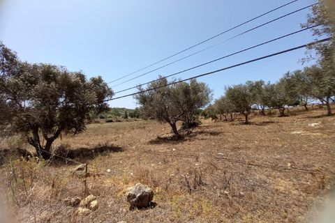 Farm i Budens, Faro, Budens - € 985.000 | Ref: 10314 - foto 36