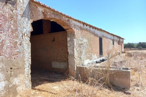 Farm i Budens, Faro, Budens - € 985.000 | Ref: 10314 - foto 5