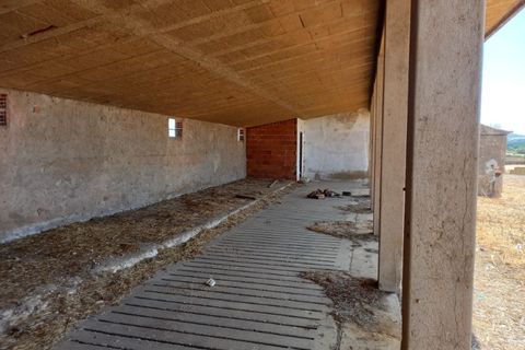 Farm i Budens, Faro, Budens - € 985.000 | Ref: 10314 - foto 50