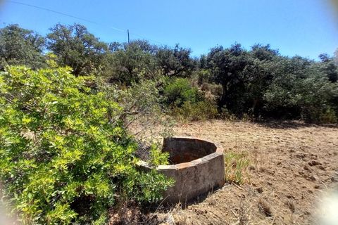Ruinere i Budens, Faro, Budens - € 900.000 | Ref: 10312 - foto 20