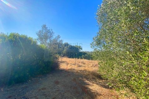 Helårsgrund i Almancil, Faro, Almancil - € 1.000.000 | Ref: 2406 - foto 3