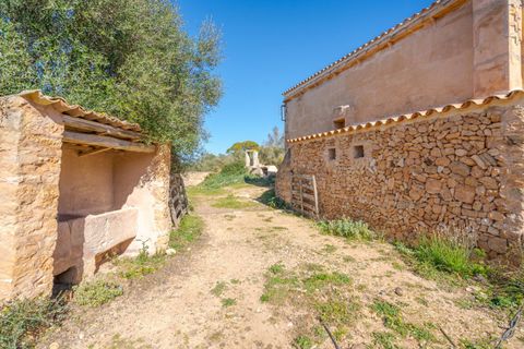 Landejendom i Llucmajor, Mallorca, Llucmajor - € 8.000.000 | Ref: 04SB1156/3010 - foto 3