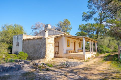 Landejendom i Llucmajor, Mallorca, Llucmajor - € 8.000.000 | Ref: 04SB1156/3010 - foto 6
