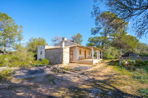 Landejendom i Llucmajor, Mallorca, Llucmajor - € 8.000.000 | Ref: 04SB1156/3010 - foto 7