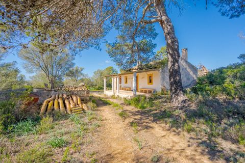 Landejendom i Llucmajor, Mallorca, Llucmajor - € 8.000.000 | Ref: 04SB1156/3010 - foto 8