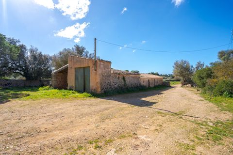 Landejendom i Llucmajor, Mallorca, Llucmajor - € 8.000.000 | Ref: 04SB1156/3010 - foto 9