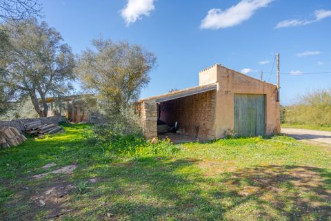 Landejendom i Llucmajor, Mallorca, Llucmajor - € 8.000.000 | Ref: 04SB1156/3010 - foto 10