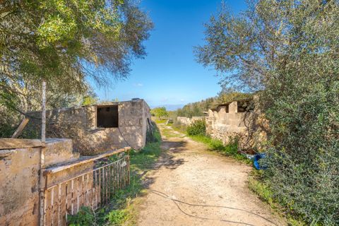 Landejendom i Llucmajor, Mallorca, Llucmajor - € 8.000.000 | Ref: 04SB1156/3010 - foto 12