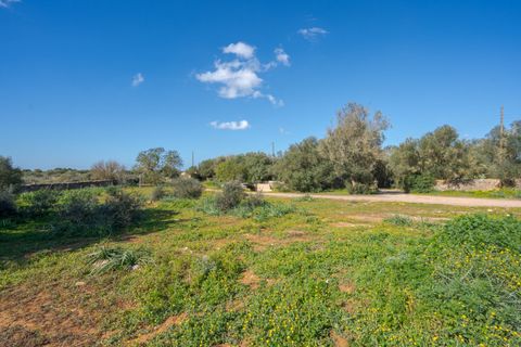 Landejendom i Llucmajor, Mallorca, Llucmajor - € 8.000.000 | Ref: 04SB1156/3010 - foto 14