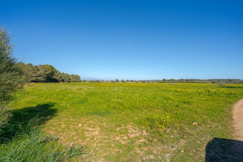 Landejendom i Llucmajor, Mallorca, Llucmajor - € 8.000.000 | Ref: 04SB1156/3010 - foto 16